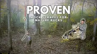 Mock Scrapes That Work: The Secret to Mature Bucks