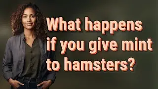 What happens if you give mint to hamsters?