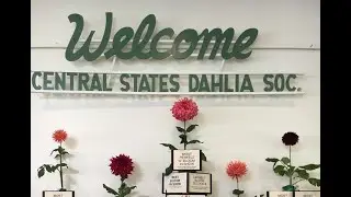 YOU can compete in the Central States Dahlia Society 2023 Dahlia Show at the Chicago Botanic Garden