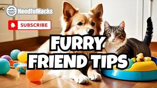 🐾 10 Must-Know Pet Care Hacks: Keep Your Furry Friend Happy! 🐶🐱#dogs  #dog #cat #shorts #catvideos