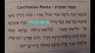 Haftorah Haftarah Trope/Cantillations by Rabbi Moshe Weisblum טעמי ההפטרה - הרב ד