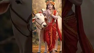 Govind bolo hari gopal bolo, mann pavitra ho jaaye.#krishna #radhakrishna #shyam #radheradhe  🙏🙏🙏🙏🙏🙏