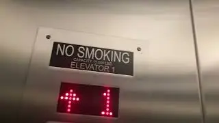 HUGE MEI elevator 1 - Sarasota Art Museum - Ringling College of Art & Design - Sarasota, FL
