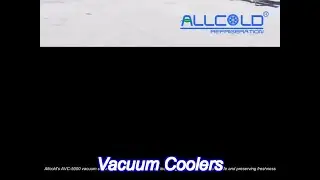 agricultural produce pre cooling system leafy vegetables vacuum cooling machine