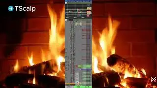 Торговля алгоритма DOGEAI #трейдинг #криптовалюта #алгоритмы #tscalp