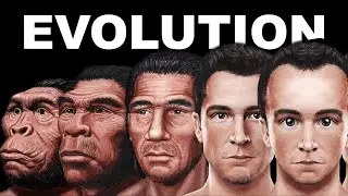 Evolution (in Hindi) || for Class 10
