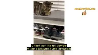 Review SoBuy Small Shoe Storage Bench, Narrow Shoe Cabinet for Entryway, Shoe Rack with Cushion&2 Ti