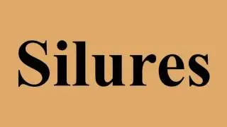 Silures