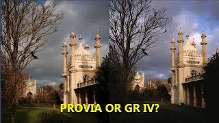 Позитивная пленка против позитивной пленки | Сравнительный тест Ricoh GR IV