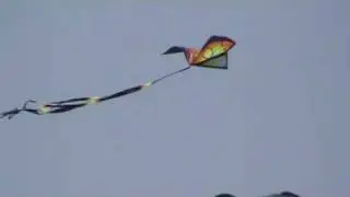 Dieppe International Kite Festival