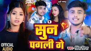 #Sad song #Prince Priya ka #bewafai// सुन पगली गे sun pagalee ge