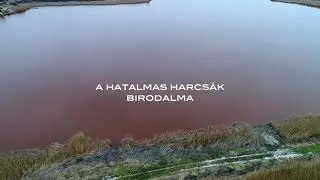 A hatalmas harcs&aacute;k biradalma - S2 HARCS&Aacute;S T&Oacute;