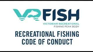 VRFish Code of Conduct