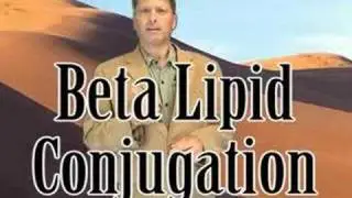 Intro - Beta Hormesis