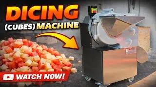 Dicing Machine | Easy and Fast Food Cutting Machine