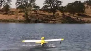 Giant Scale Anderson Super Kingfisher