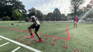 Speed hurdles hip flips #athletictraining #speedandagility #footspeed #hurdledrills