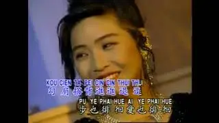 YE SHANG HAI +夜上海+满场飞 MAN CHANG FEI  谢采妘 Michelle HsieH KARAOKE R/L