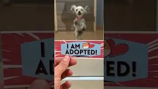 Betty is going home 😍 her full vid link above!