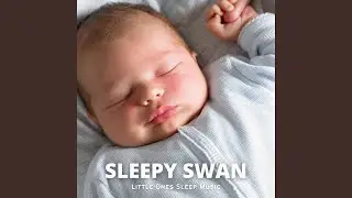 Soft Solace