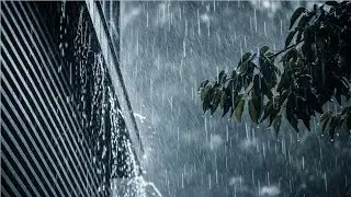 Suddenly Fell Asleep in 3 Minutes With Heavy Rain, Relaxing With Rain and Thunder, Cozy Rain