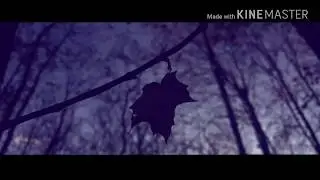 LG G4 Cinematic Short Film (The Woods)