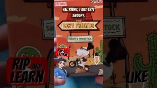 Pop Mart Snoopy The Best Friends Series Figures Blind Box Unboxing #popmart #blindbox #charliebrown