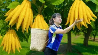 WOMAN Harvesting Pear Hollow - A pear that resembles a devil's eye socket & Cooking | Farm Life