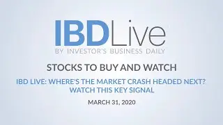 IBD Live: Where's The Market Crash Headed Next? Watch This Key Signal