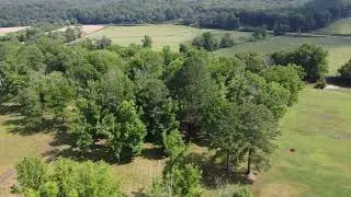 Talking Rock GA. Farm  = farm for sale