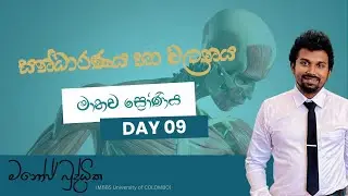 Biology Lesson in Sinhala | Support & movement - Lesson 09