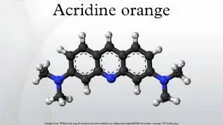 Acridine orange