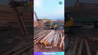 This Excavator Makes Log Loading Look EASY! #excavator #satisfying #oddlysatisfying