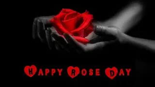 Rose Day Status 2022 Video | 7 FEB 🌹 HAPPY ROSE DAY Whatsapp status | Valentine's Week Special Video