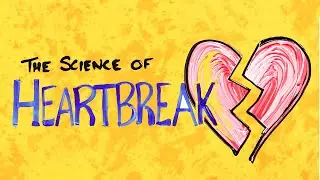The Science of Heartbreak | What Happens to Your Body After a Breakup! | Loversity