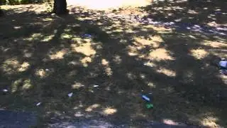 DSCN8196