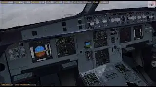 Birdstrike at 37K