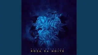 Rosa da Noite