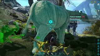 ARK - Paracer Roundup Alpha