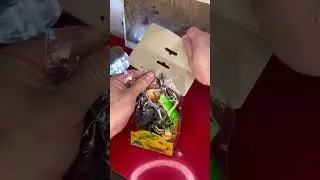 ⚠️Warning⚠️!You have to choose the package carefully...#insect #bug #rock_n_insectes #shortswithzita