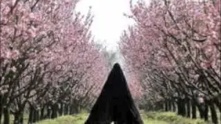 Until We Bleed- Andreas Kleerup ft. Lykke Lee (music video)