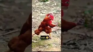 Kung👊 Fu Shaolin kick boxing एक ही वार में साइलेंस!#short #fight #funny #KickBoxing 🥊#KungFu 🤪