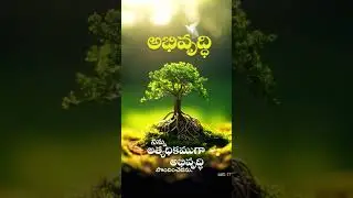 Today's promise card god bless you 🙏