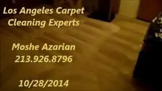 How to clean Professionally carpet properly & Restore it's condition - Watts Los Angeles CA