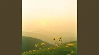 Silent Blessings of Dawn