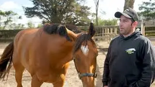 The Road to the Sharp EIT All-Star Mile - Keats