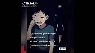2026 ජනවාරි 12