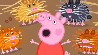 Cartoon Kids - Português Brasil | Temporada 8 - Nova Compilação 13 | Peppa Pig em Português Brasil