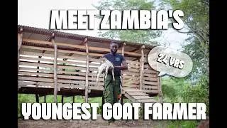 The Youngest  Farmer In Zambia With a Self-Sustaining Farm
