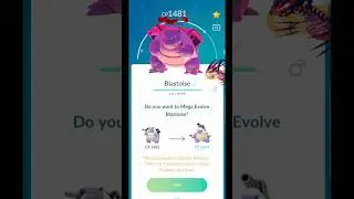 Эволюция Динамакс Бластойза в Мега Бластойза в #pokemongo